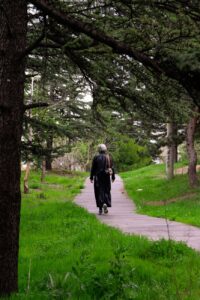 solitary walk in lush green park pathway
