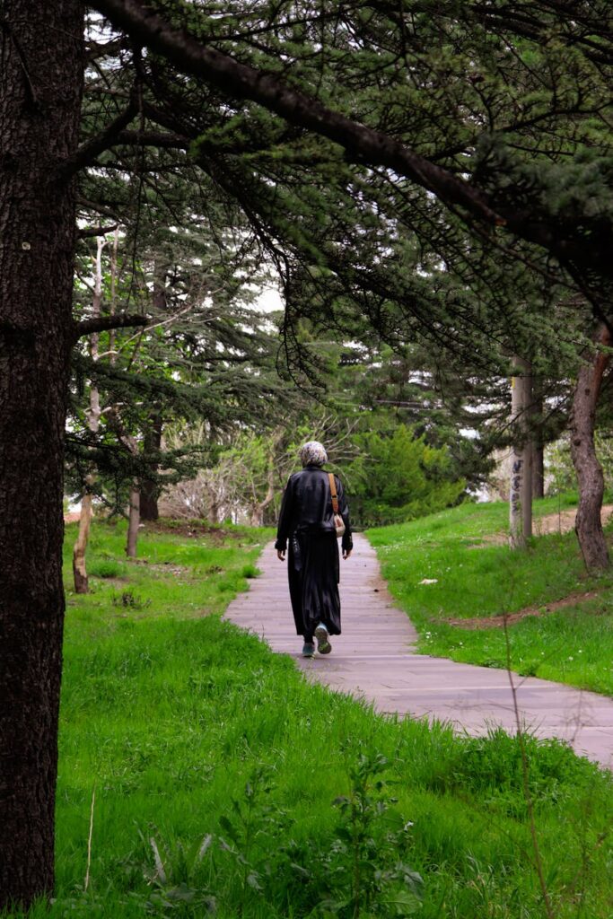 solitary walk in lush green park pathway